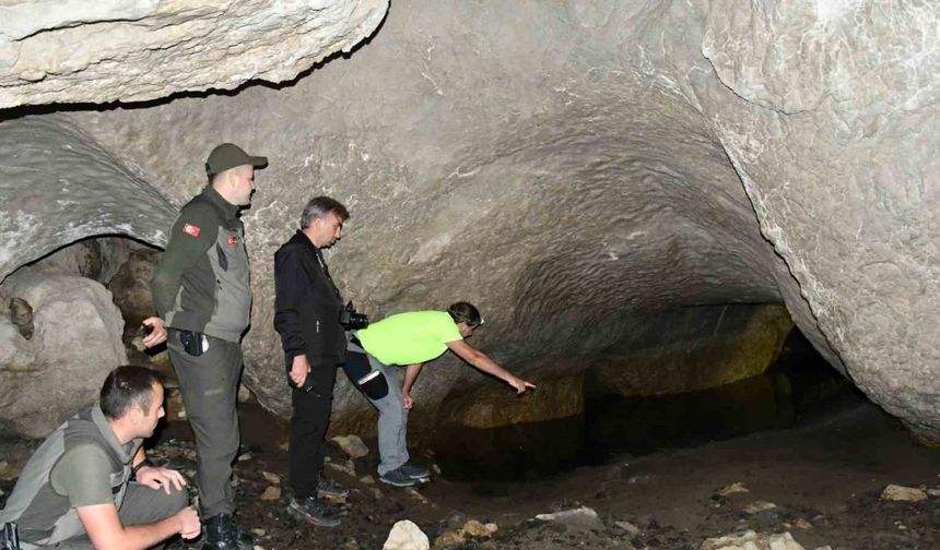 5 girişi bulunan mağara turizme kazandırılmak bekliyor
