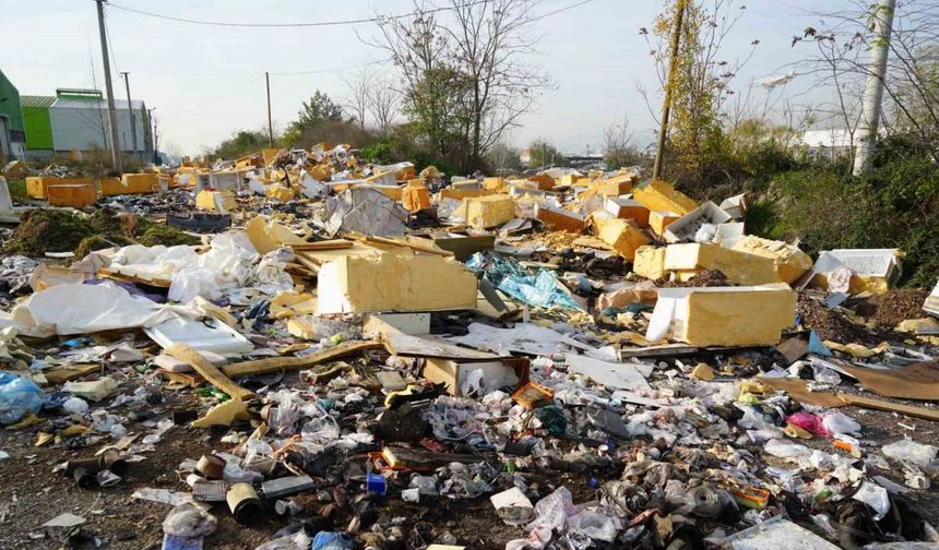 Açık hava çöplüğü: Güveç bile var