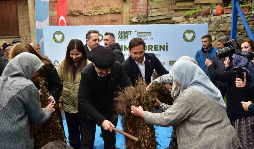 Balıkesir’de susam üreticisine büyük destek: Alım fiyatı 155 TL’ye yükseldi