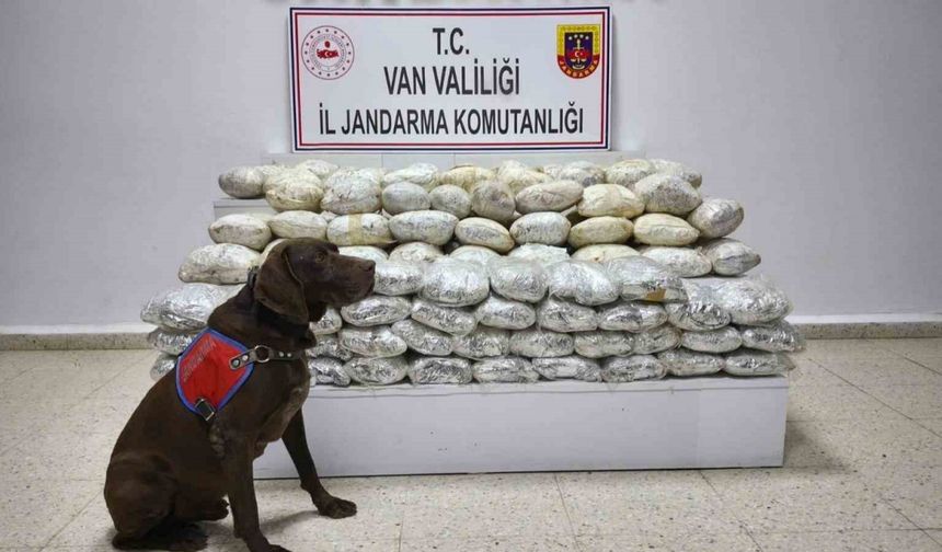Başkale’de 60 kilo uyuşturucu ele geçirildi