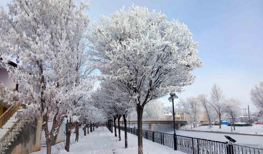 Bayburt’un Arpalı Beldesi güne kar yağışıyla uyandı