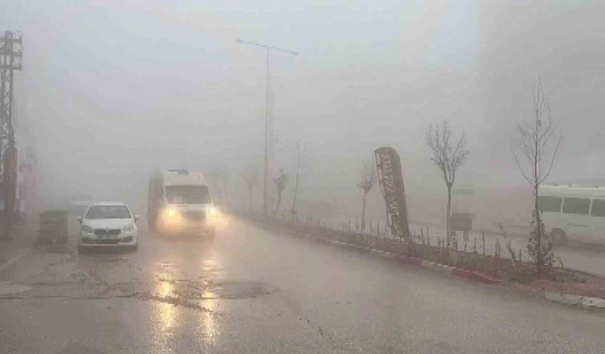 Besni’de yoğun sis etkili oldu