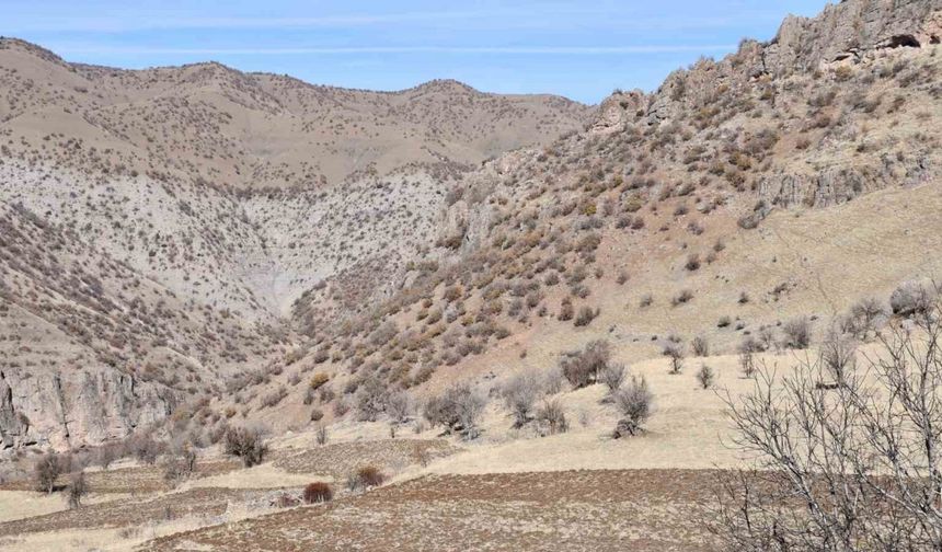 Bestler Dereler bölgesine 30 yıl sonra ilk kez yollar açılıyor