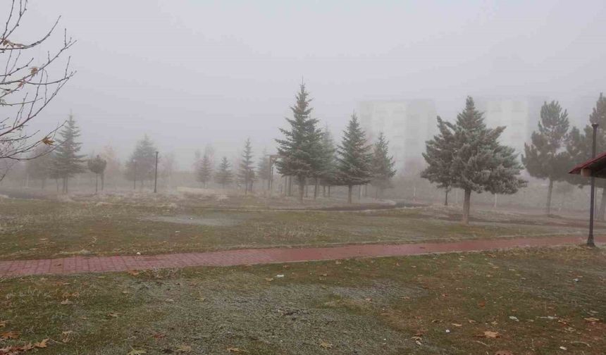 Bitlis’te sis ulaşımı olumsuz etkiledi