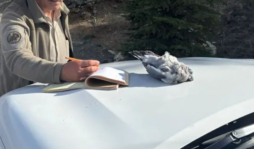 Burdur’da kaçak avcılar ekiplere yakalandı