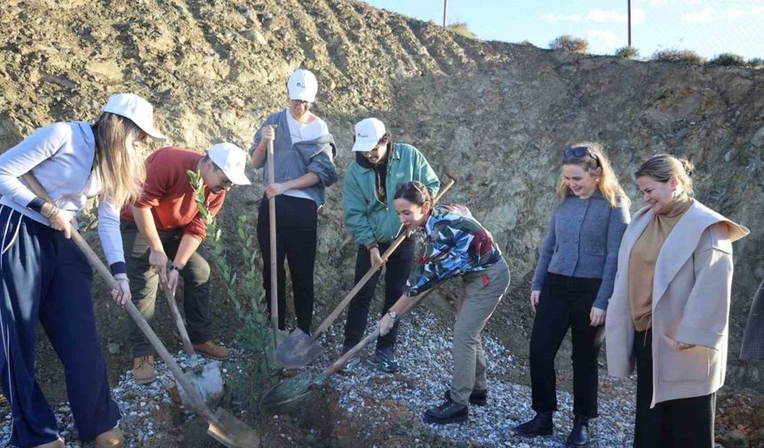 Defne fidanları toprakla buluştu