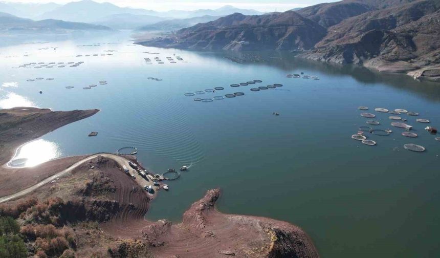 Denizi olmayan Tokat’ın somonları dünya sofralarına ulaşıyor