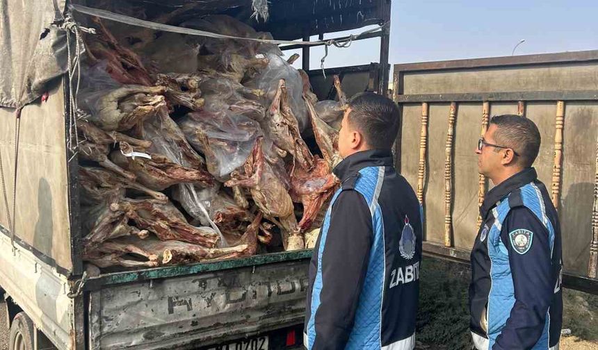 Gaziantep’te kamyonet kasasında kilolarca bozuk et ele geçirildi