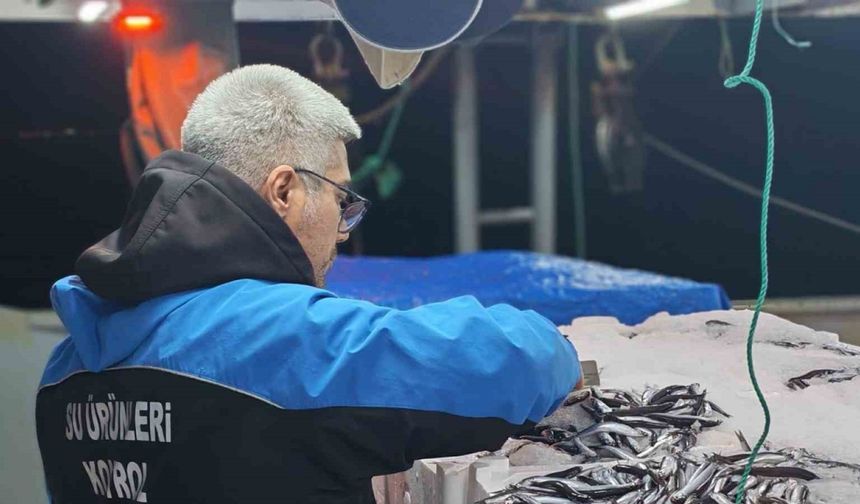 Gelibolu’da 45 kilo balığa el konuldu, 37 bin 770 lira para cezası kesildi