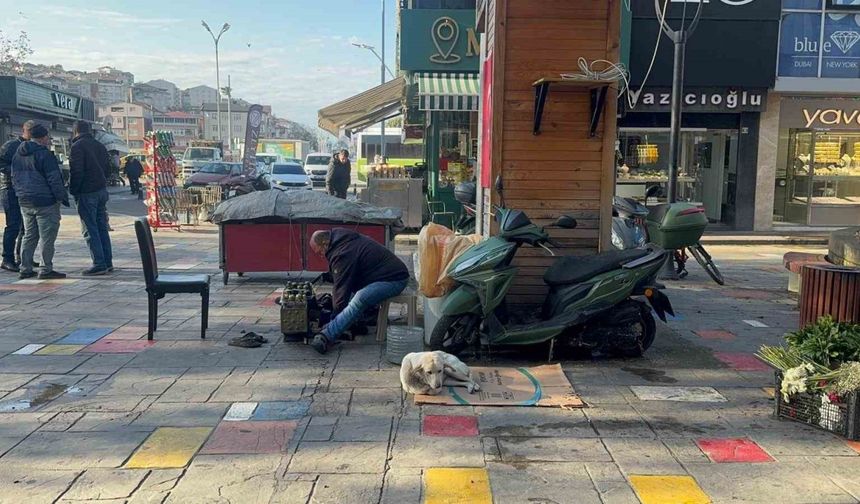 Hayata tutunan engelli köpeğe bebek gibi bakıyor