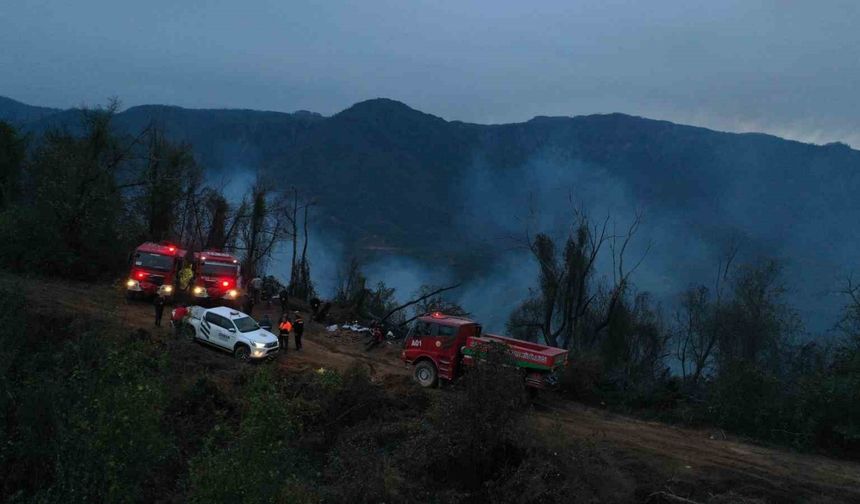 Hopa’daki orman yangını söndürüldü, soğutma çalışmaları sürüyor