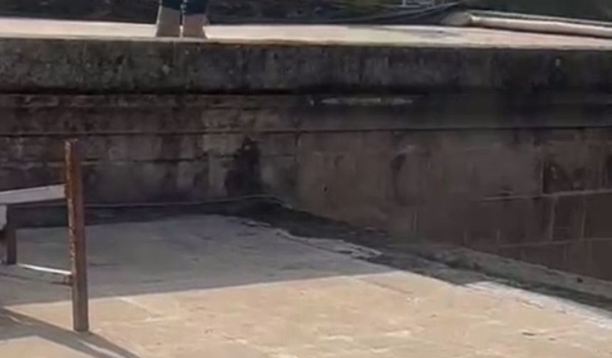 "İşten atıldım" diyerek Balıklıgöl’e atladı