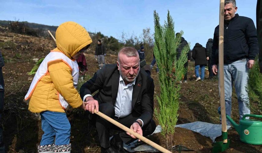 Karacabey’de yangın sonrası ilk fidanlar toprakla buluştu