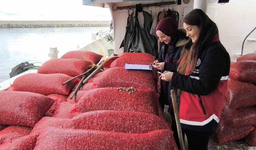 Kastamonu’da beyaz kum midyesi denetimi