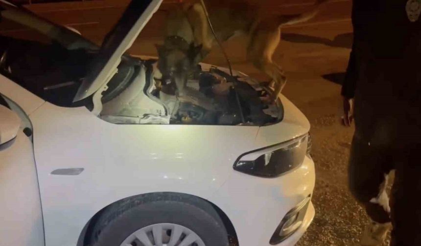 Kastamonu’da uyuşturucu operasyonu: 5 tutuklama