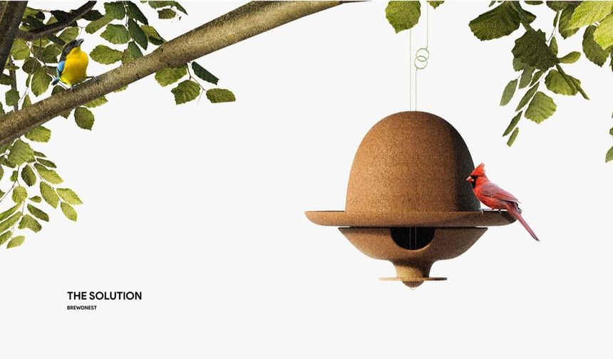 KBÜ mezunu Salman’a Seoul Design Awards’ta üç ödül