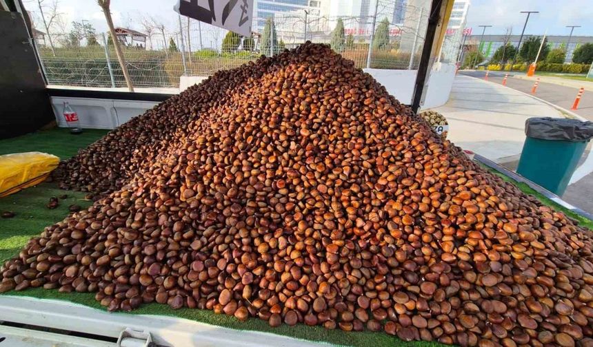 Kestane sezonu açıldı: Kilosu 175 lira