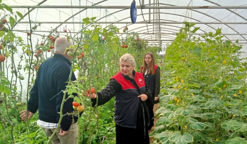 Kırklareli’nde sera kontrolleri