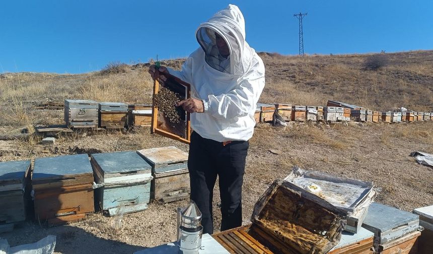 Kışa hazırlanan üreticiden sahte bal uyarısı