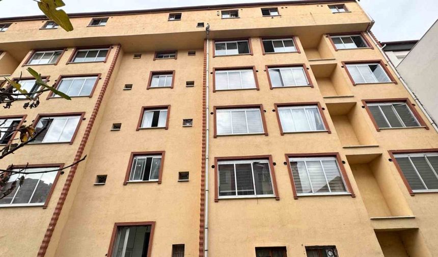 Mahsur kalan kedi için yatak taşıyıp battaniye gerdiler