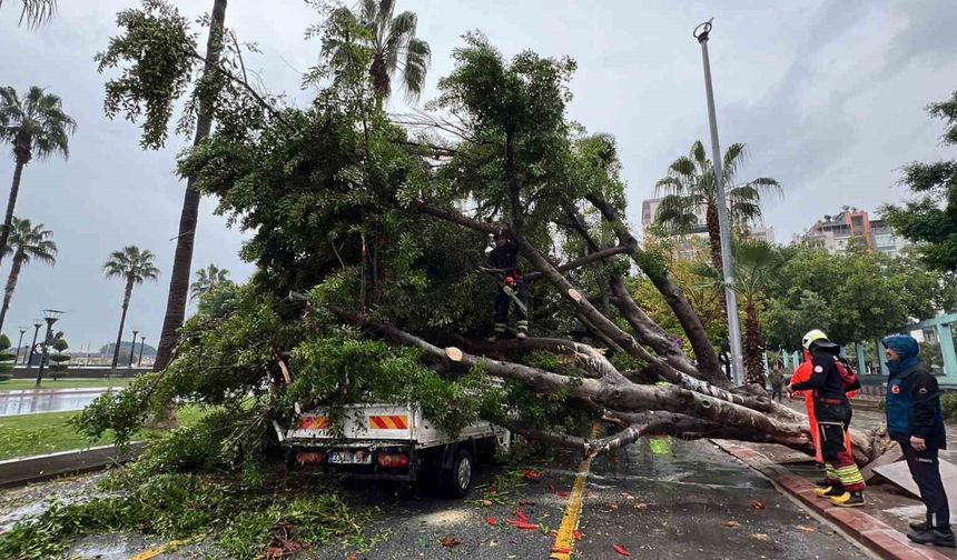 Mersin’de devrilen ağaç, seyir halindeki 3 araca zarar verdi