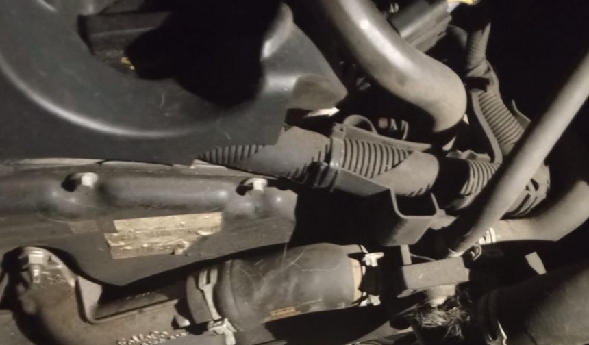 Minibüsün motoruna sıkışan kedi kurtarıldı