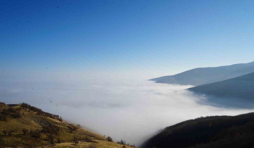 Muş’ta sis ovayı kapladı: Kartpostallık manzaralar oluştu