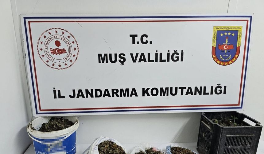 Muş’ta uyuşturucu operasyonu