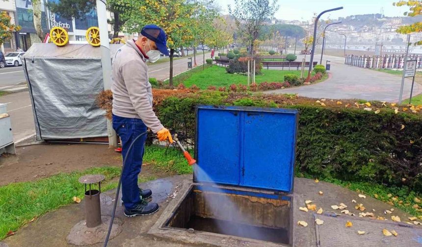 Ordu’da haşerelere karşı kışlak çalışması başlatıldı