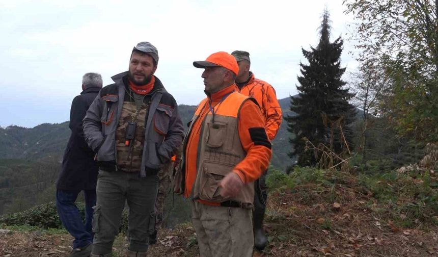 Rize’de ayı için sürek avı başlatıldı