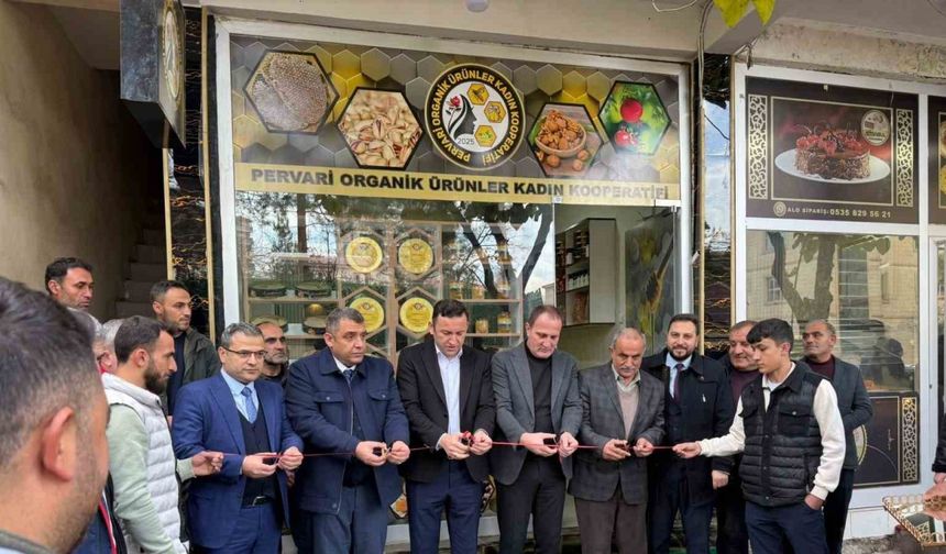 Siirt’te 12 kadın kooperatifleşti