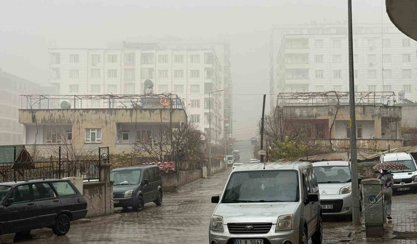 Siirt’te sis ve sağanak yağış etkili oldu