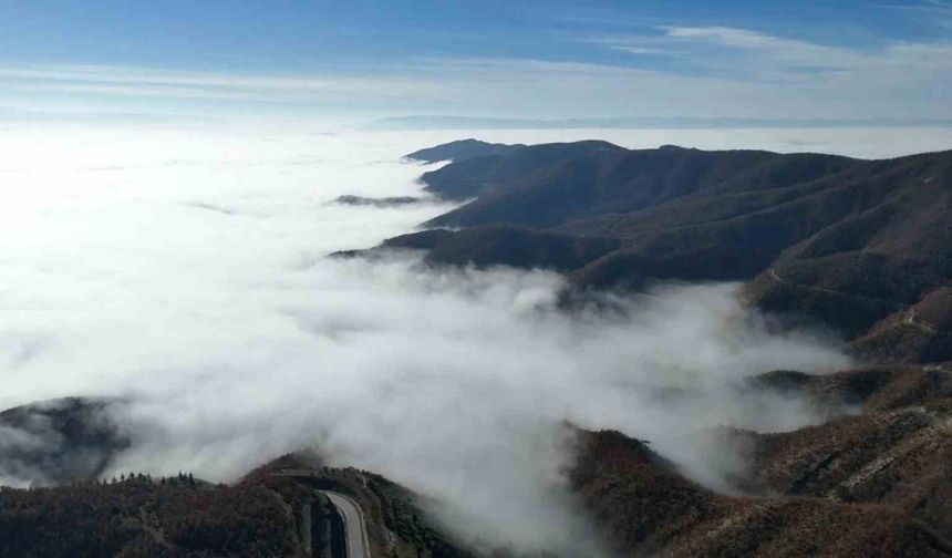 Sinop’ta sis denizi