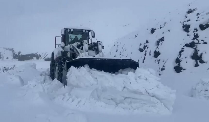 Şırnak’ta kar esareti: Beyaz örtü yarım metreyi geçti