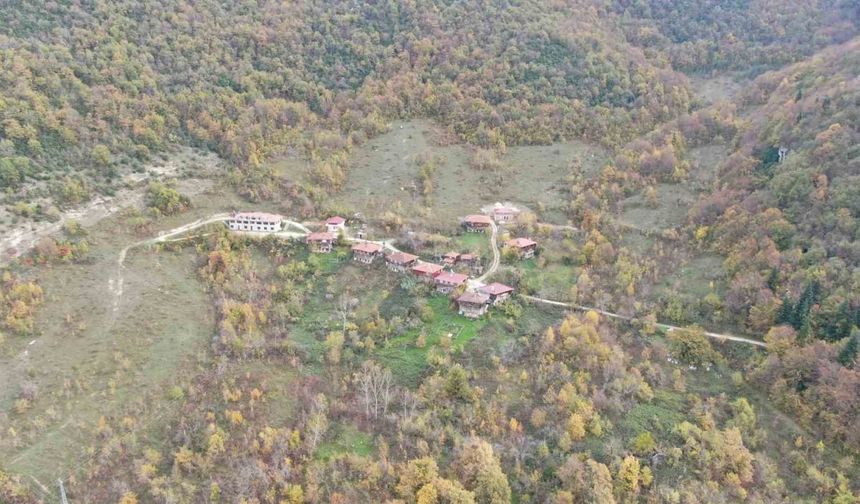 Sonbahara bürünen ormanlar ve ’çam kokulu’ evler mest ediyor