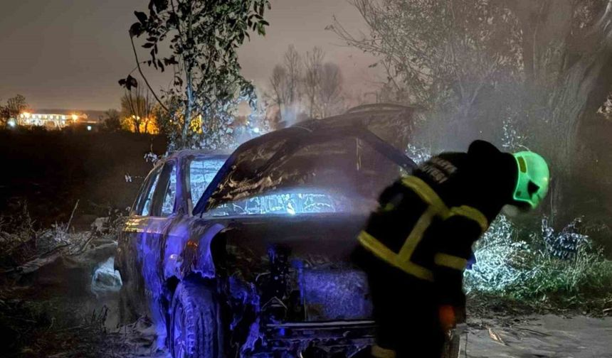 Tarlada park halindeki otomobil alev topuna döndü, geriye demir yığınları kaldı