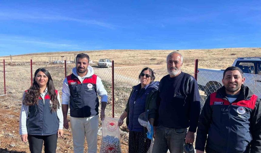 Tunceli’nin 4 ilçesinde sarımsak ekimi yapıldı