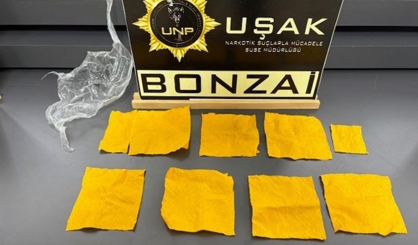 Uşak’ta çok sayıda uyuşturucu madde ele geçirildi