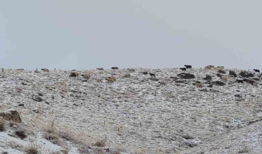 Van’da kış yüzünü gösterdi: Erek Dağı ve çevresi beyaza büründü