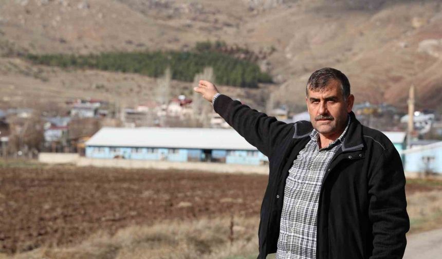 Yıllar önce gölgelenecek ağaç yoktu, şimdi ise ormanlık alana dönüştü