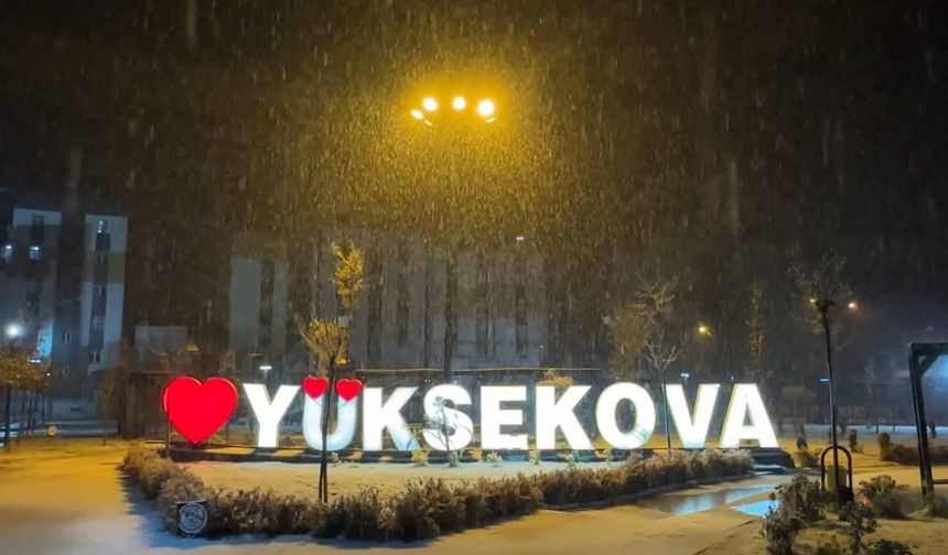 Yüksekova’da lapa lapa kar yağışı