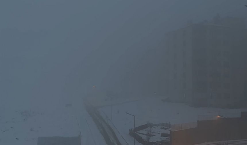Yüksekova’da yoğun sis hayatı felç etti
