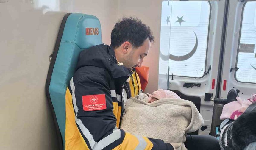 Ağrı'da sağlık ekipleri evde doğuma yetişti