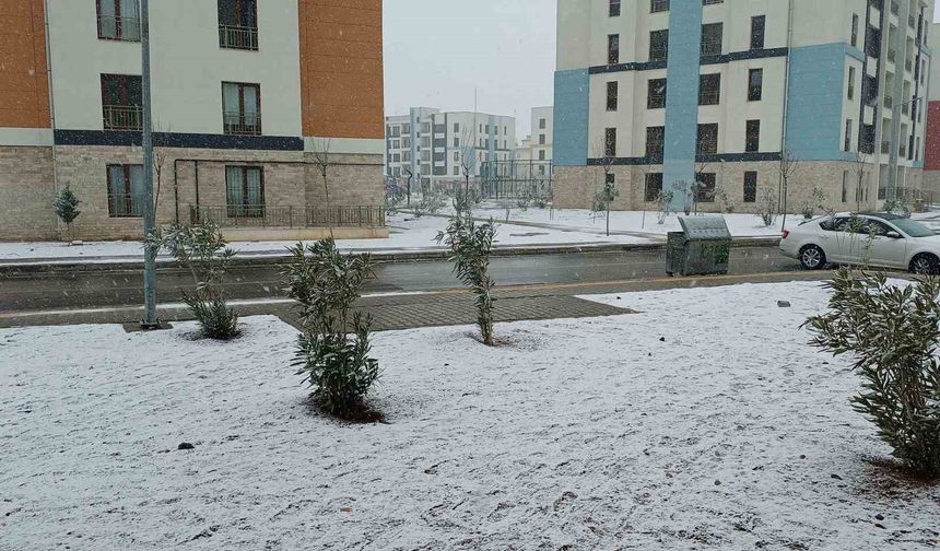 Araban'daki kar yağışı kuraklık korkusunu sonlandırdı, çiftçinin yüzünü güldürdü