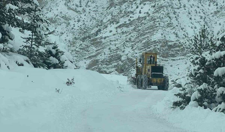 Artvin'de 6 ilçede 43 köy yolunda kar nedeniyle ulaşım sağlanamıyor