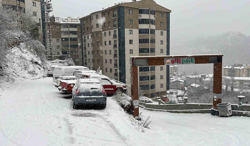 Artvin'de kar etkili oluyor