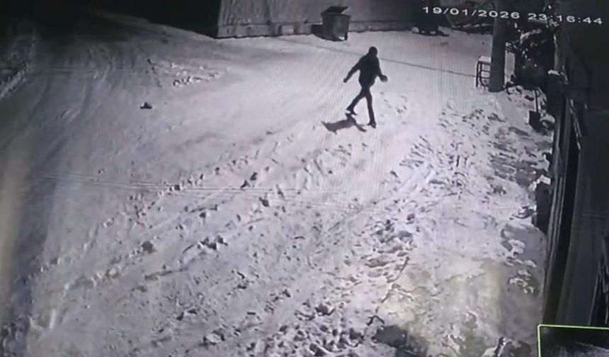 Bahçesine giren kurtları çaydanlıktaki sıcak suyla kovaladı