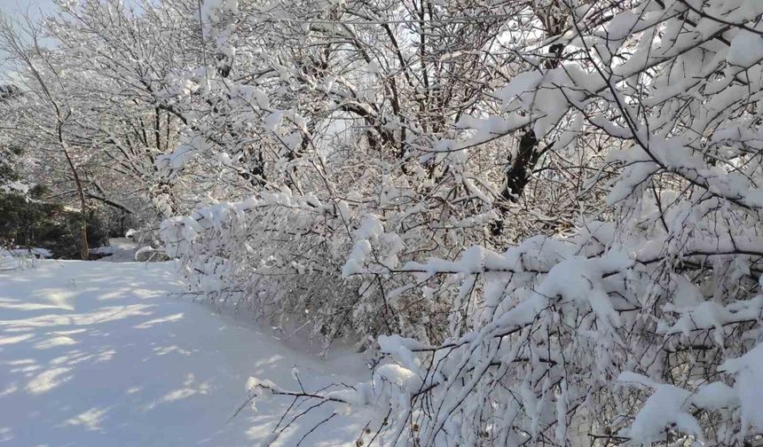 Batman'da kar manzaraları