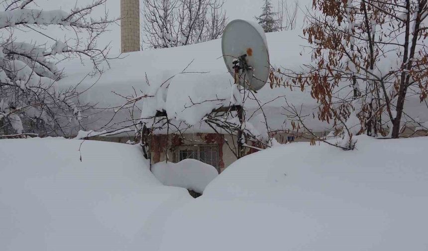 Bitlis'te tek katlı evler kardan kayboldu, 314 köy yolu ise ulaşıma kapandı