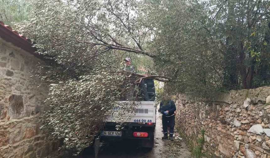 Bodrum'da fırtına etkili oldu